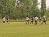 foci_026