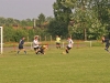 foci_028