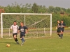 foci_029