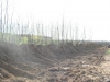 Kiveitelezes_015
