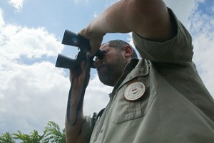 mezoor